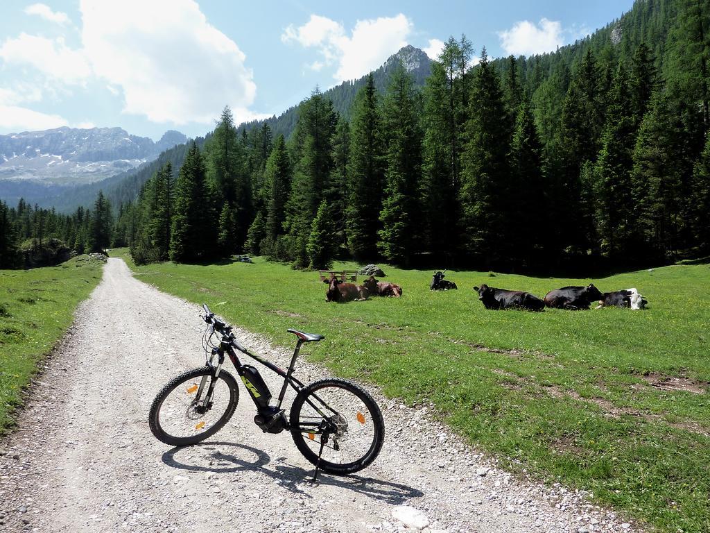Appartamenti Majon Sotroi Campitello di Fassa Eksteriør billede